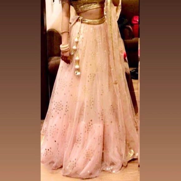 Light pink royal extremely heavy lehenga! - Picture 11 of 11